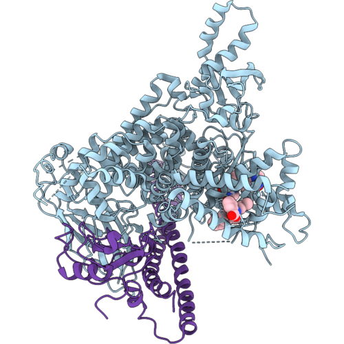 9YF2 image