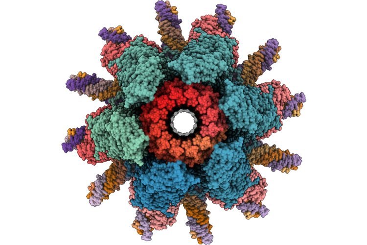 9YF4 image