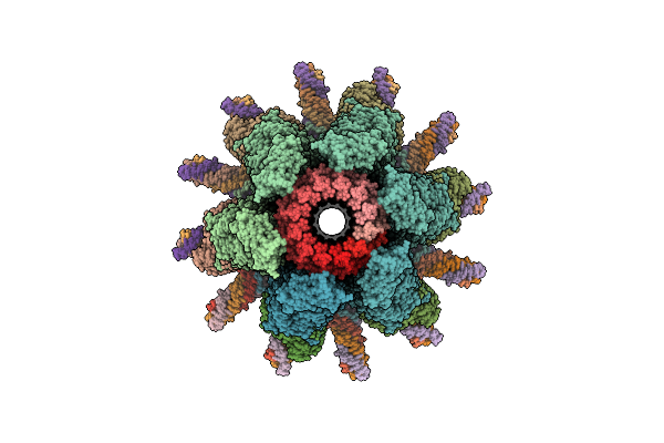 9YF5 image
