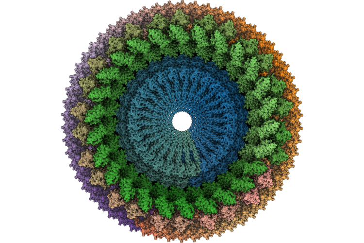 9YFG image