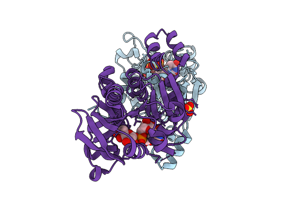 9YFI image