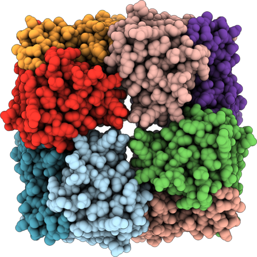 9YGL image
