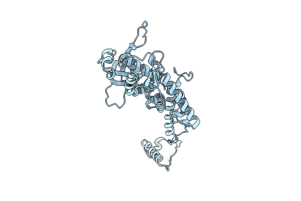 9YIN image