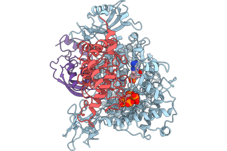 9YLB image