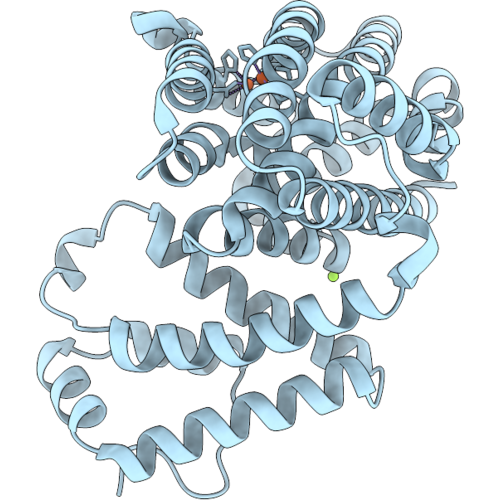 9YLC image