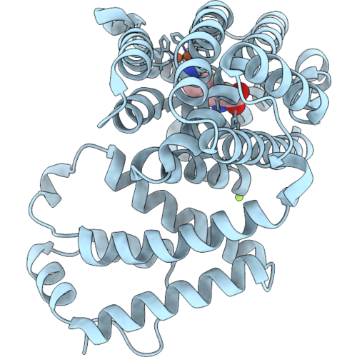 9YLG image