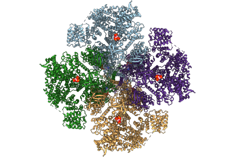 9YLI image