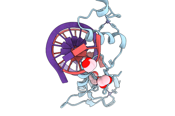 9YLN image