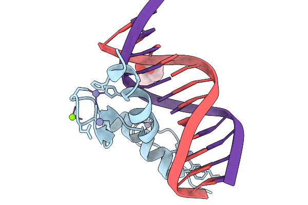 9YLP image