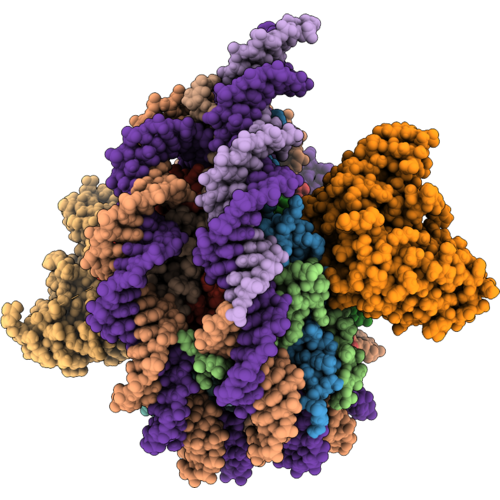 9YLR image
