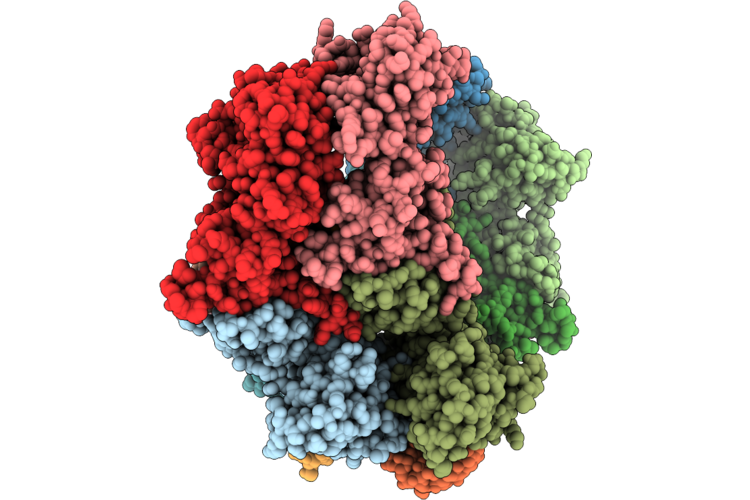 9YLU image