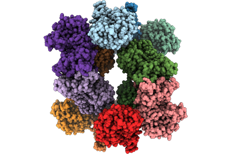 9YLV image
