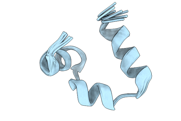 9YM2 image