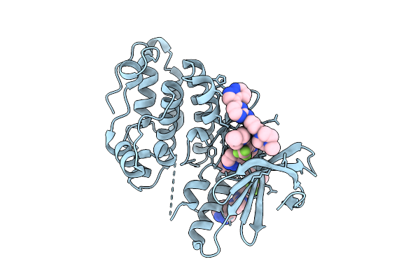 9YMT image