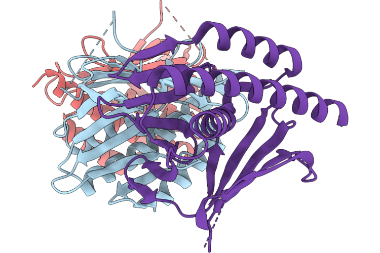 9YNL image