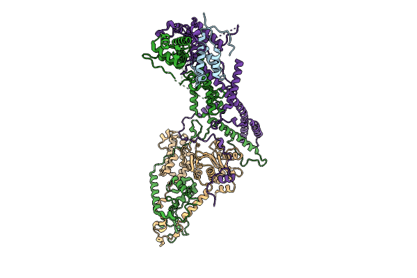 9YNV image