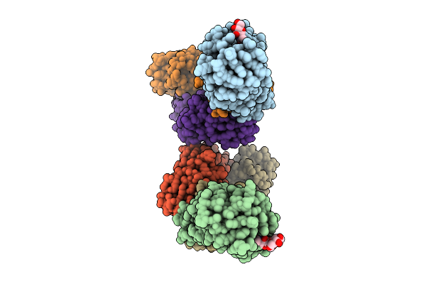 9YNX image