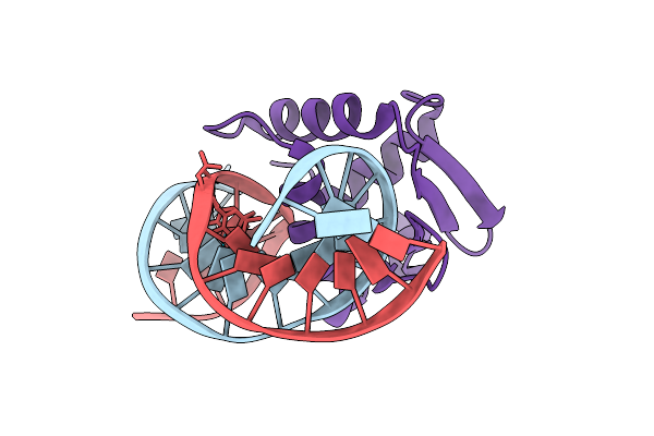 9YNZ image
