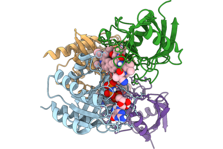 9YOW image