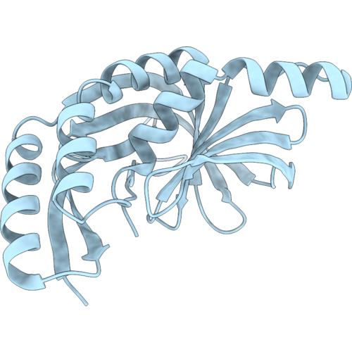 9YOY image