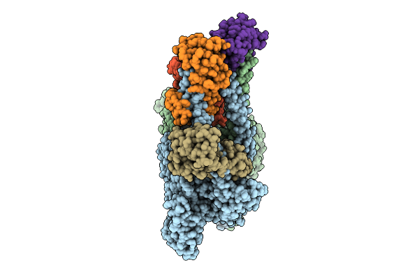9YP9 image