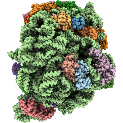 9YPH image