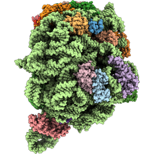 9YPN image