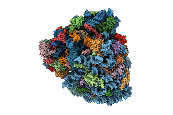 9YPS image