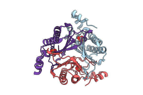 9YRI image