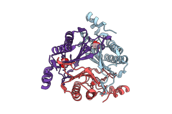 9YRJ image