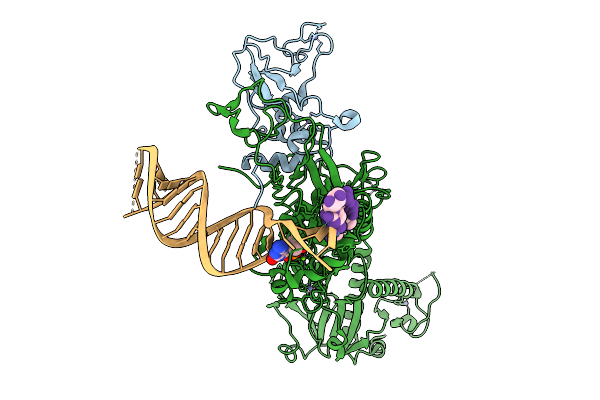 9YRL image