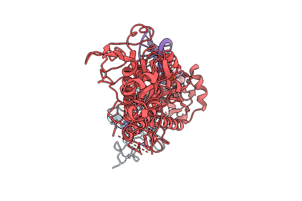 9YRO image
