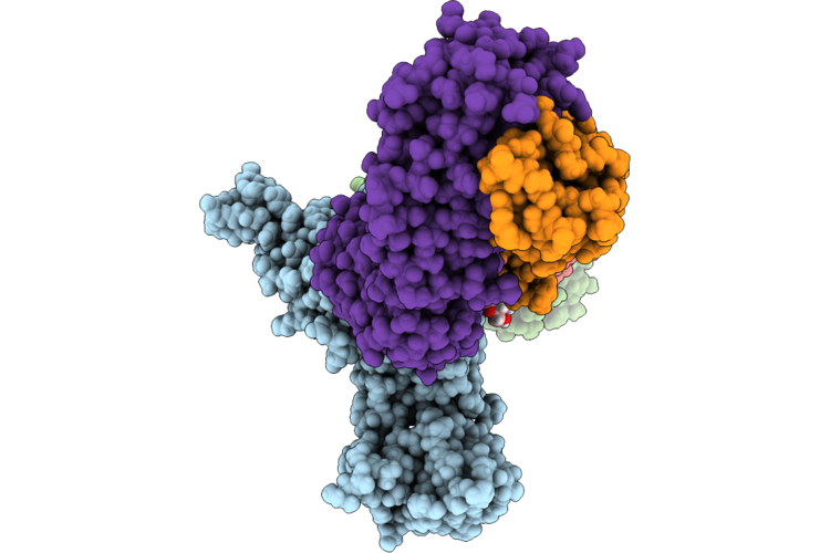 9YTC image