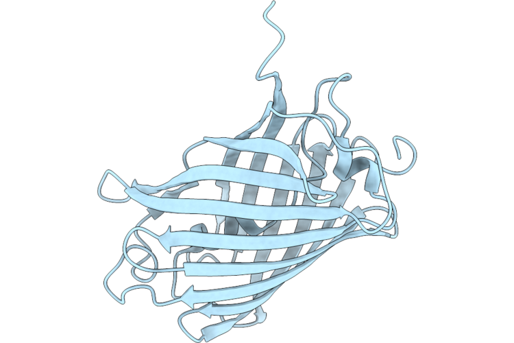 9YVX image