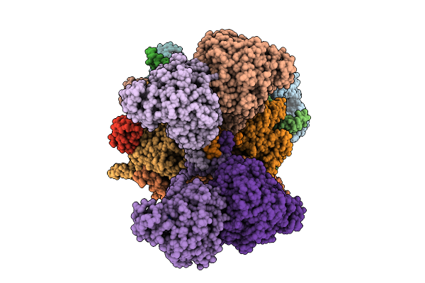 9YX2 image