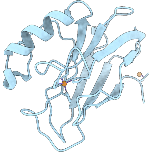 9YZ6 image