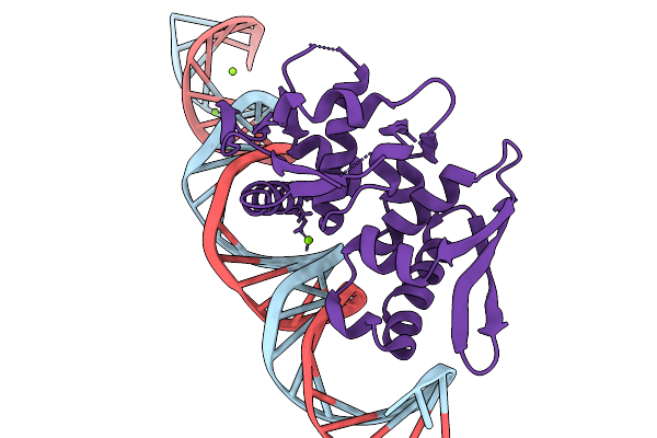 9YZC image