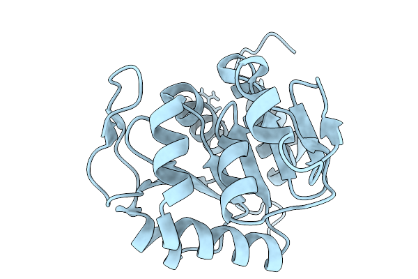 9YZV image