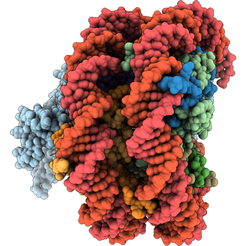 9Z07 image