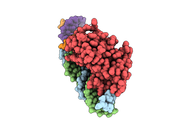 9Z08 image