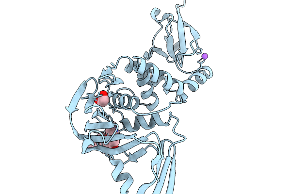 9Z0C image
