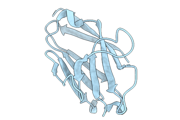 9Z0M image