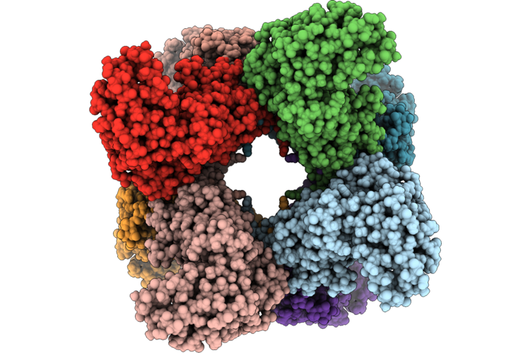 9Z0P image