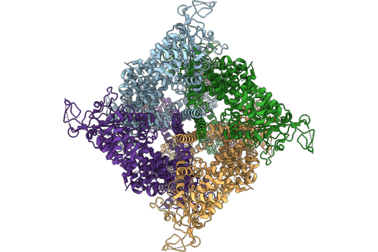 9Z22 image