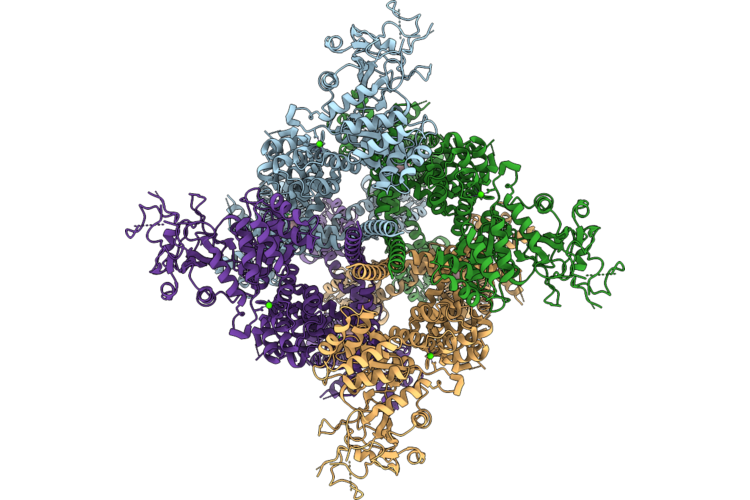 9Z23 image