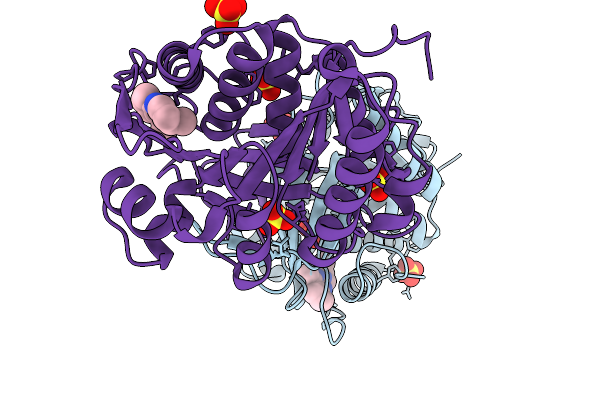 9Z28 image