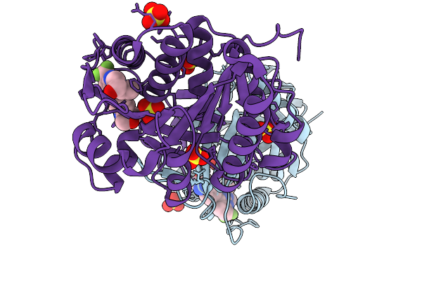 9Z2B image