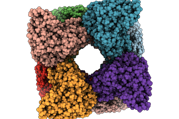 9Z2D image
