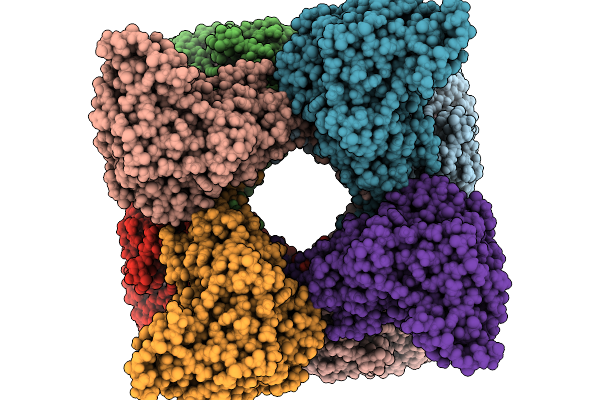 9Z2F image