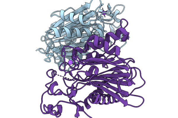 9Z2I image